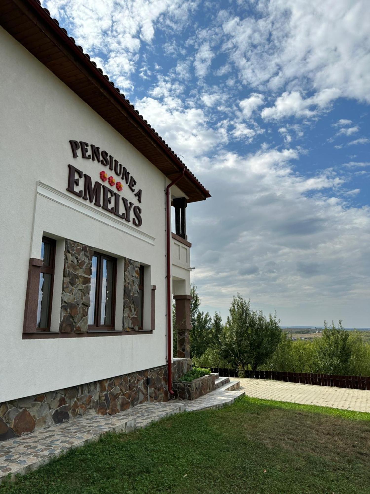Pensiunea Emelys, Iasi Barnova Dış mekan fotoğraf