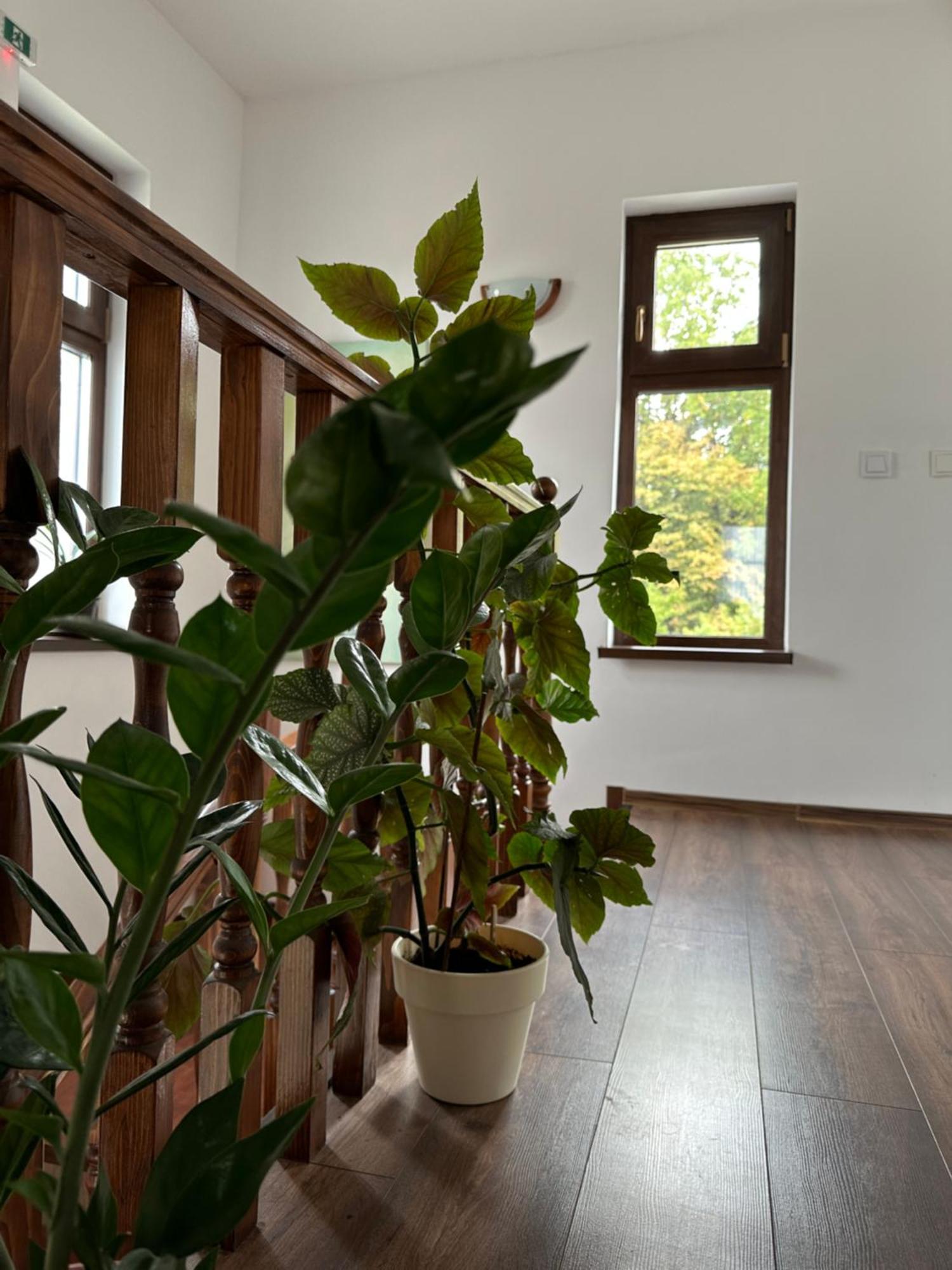 Pensiunea Emelys, Iasi Barnova Dış mekan fotoğraf