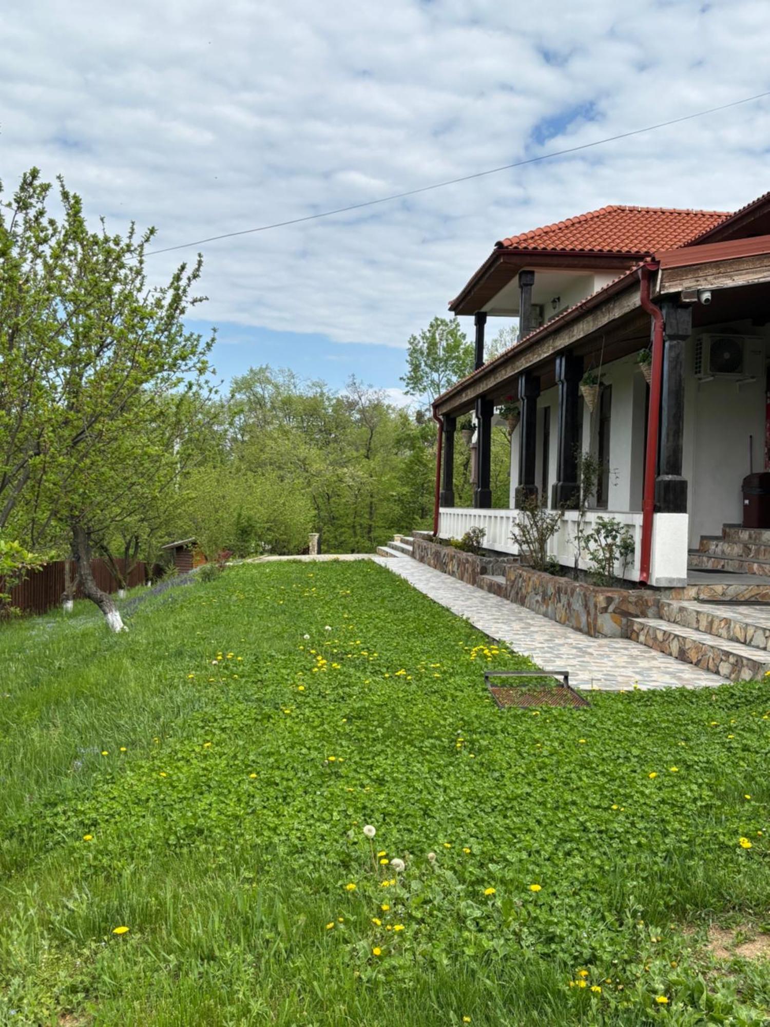 Pensiunea Emelys, Iasi Barnova Dış mekan fotoğraf