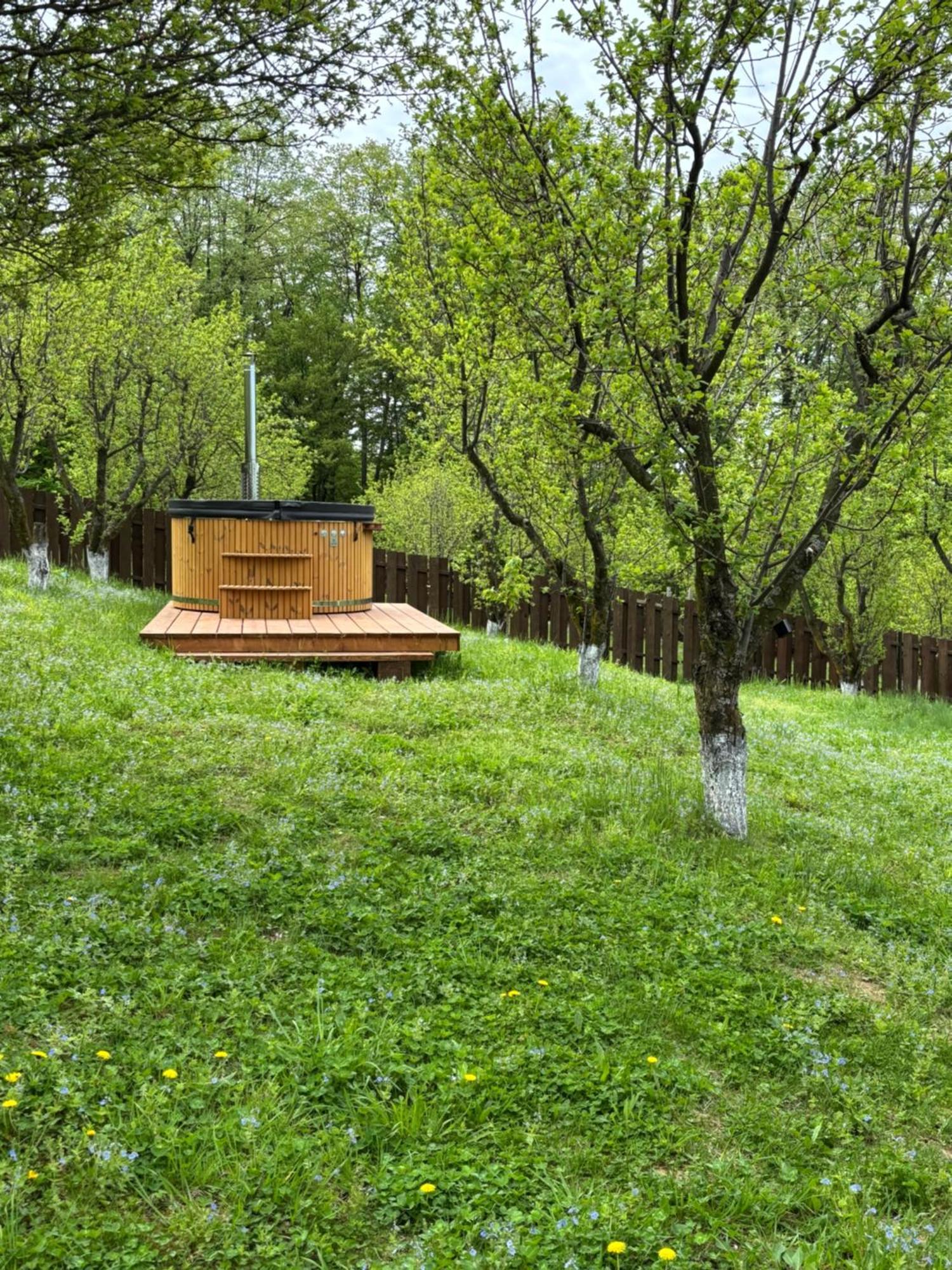 Pensiunea Emelys, Iasi Barnova Dış mekan fotoğraf