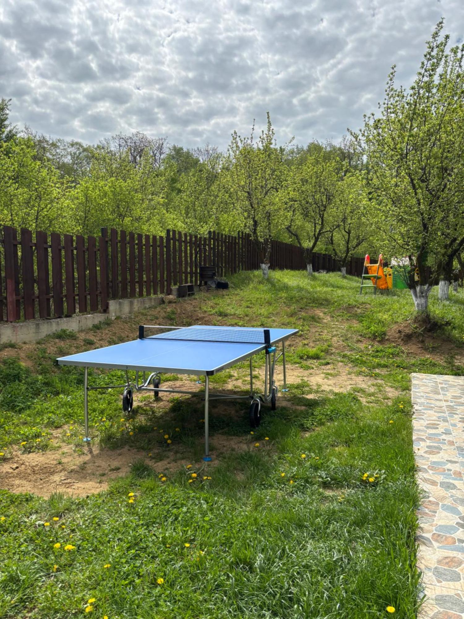 Pensiunea Emelys, Iasi Barnova Dış mekan fotoğraf